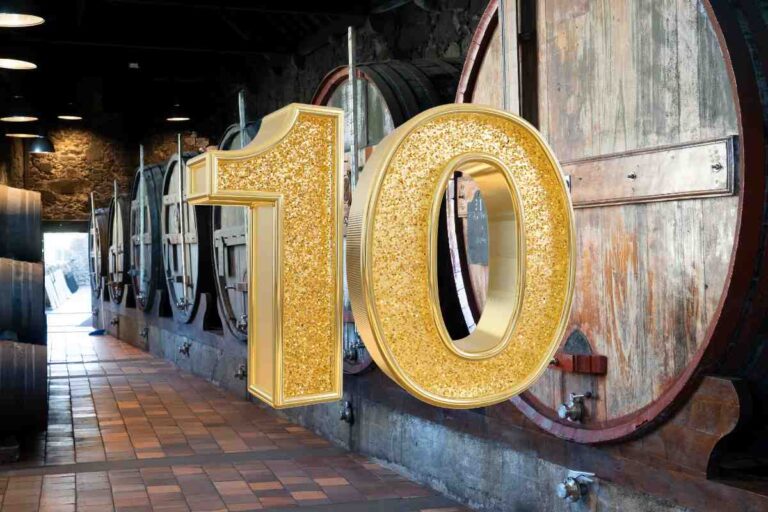 Le 10 cantine del Barolo da visitare assolutamente: tour e degustazioni da 15 euro, festa per il palato