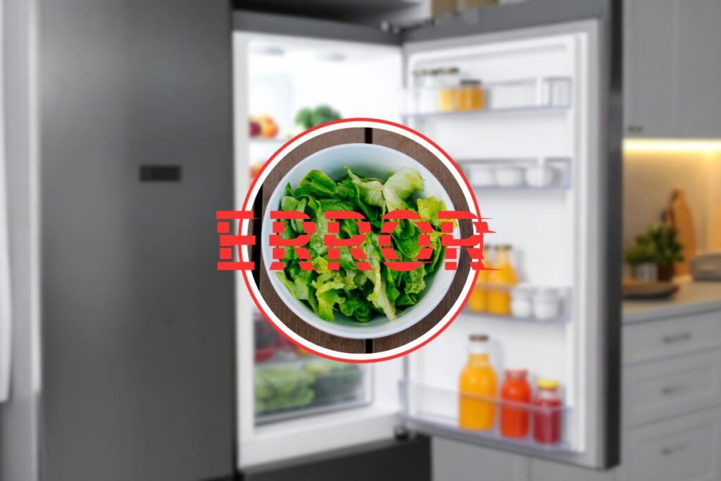 frigorifero aperto, insalata in primo piano con scritta errore