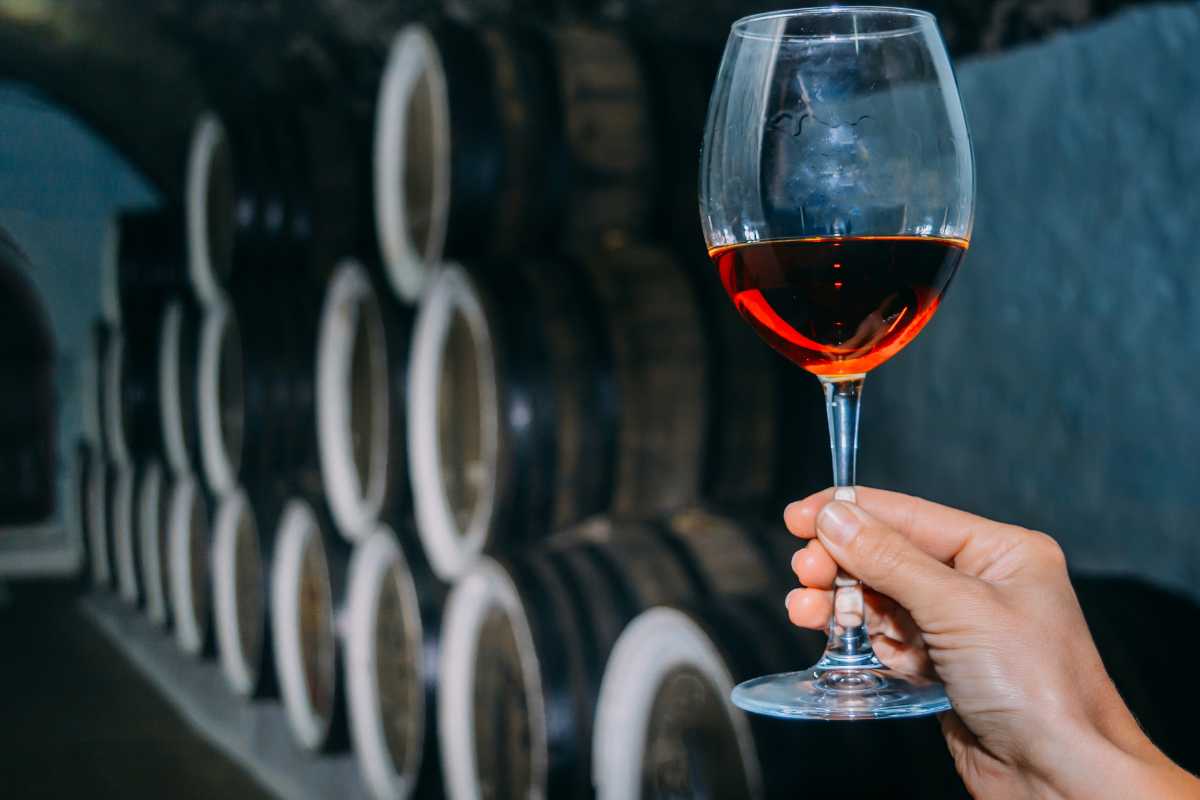 cantina e calice di vino rosso 