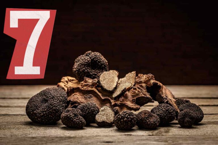 7 tappe imperdibili sulla Via del Tartufo: il tesoro nascosto tra Umbria e Marche